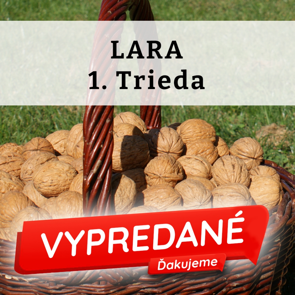 Lara -  I.trieda  