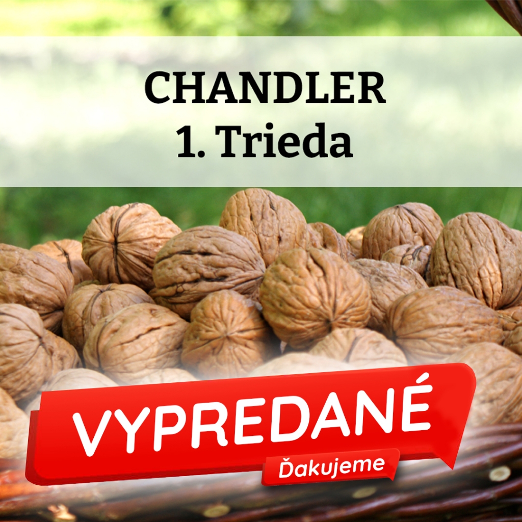 Chandler - I.trieda  
