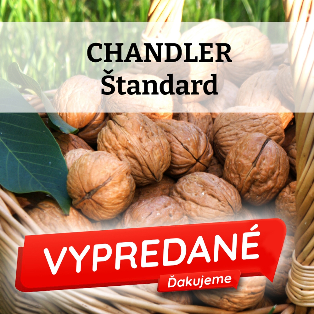 Chandler  - Štandard